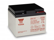Аккумулятор Yuasa NP 24-12I