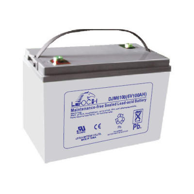 Leoch DJM 6100