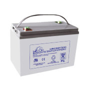 Leoch DJM 6150