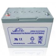 Leoch LPG 12-70H
