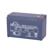 Leoch DJW 12-7,2